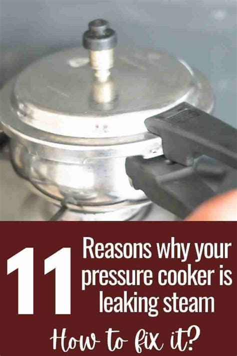 pressure cooker leaking water|Understanding Why Your Pressure Cooker Leaks Water: Causes。